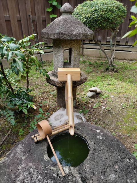 蹲踞